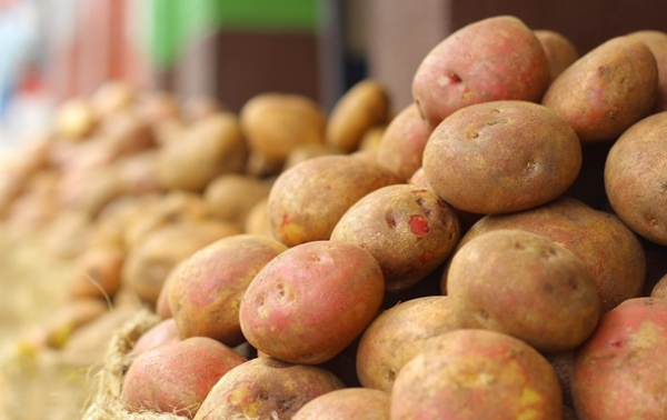 В Україні зібрали 29 млн тонн овочів: лідером врожаю стала картопля