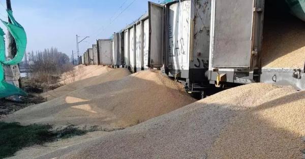 У Польщі утилізують 30 тонн української кукурудзи, яку висипали із вагонів