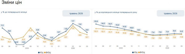 Інфляція в Україні сповільнилася до 8,2%